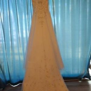 Tulle Cap Sleeve Wedding dress